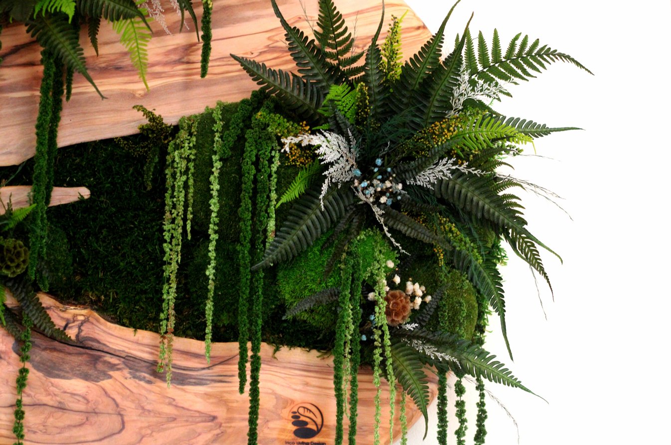 Quadro tondo in legno di ulivo e verde stabilizzato