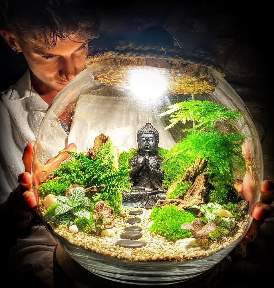 Terrarium con statuina Buddha